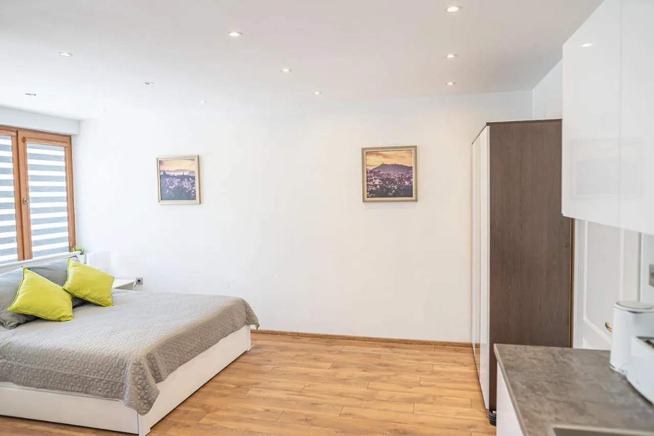Shushi'S Central Studio Apartment Filibe 0*,